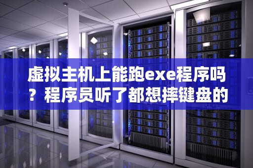虚拟主机上能跑exe程序吗？程序员听了都想摔键盘的真相！