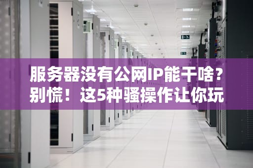 服务器没有公网IP能干啥？别慌！这5种骚操作让你玩出花！
