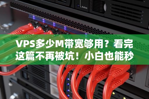 VPS多少M带宽够用？看完这篇不再被坑！小白也能秒懂的专业指南