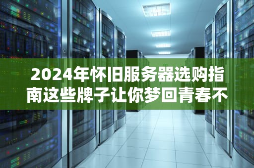 2024年怀旧服务器选购指南这些牌子让你梦回青春不掉帧！