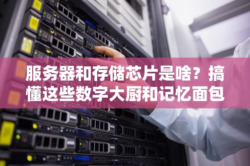 服务器和存储芯片是啥？搞懂这些数字大厨和记忆面包！