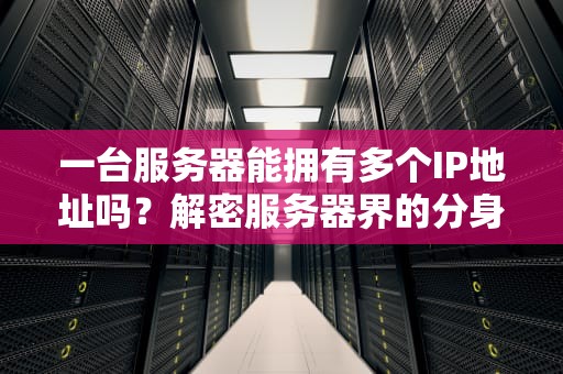 一台服务器能拥有多个IP地址吗？解密服务器界的分身术