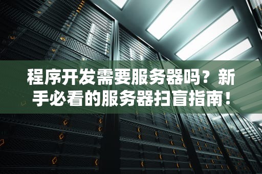 程序开发需要服务器吗？新手必看的服务器扫盲指南！