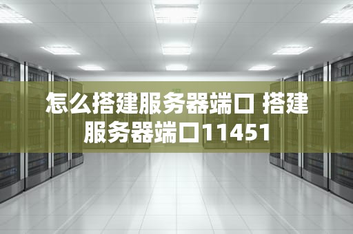 怎么搭建服务器端口 搭建服务器端口11451
