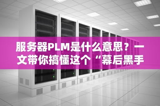 服务器PLM是什么意思？一文带你搞懂这个“幕后黑手”