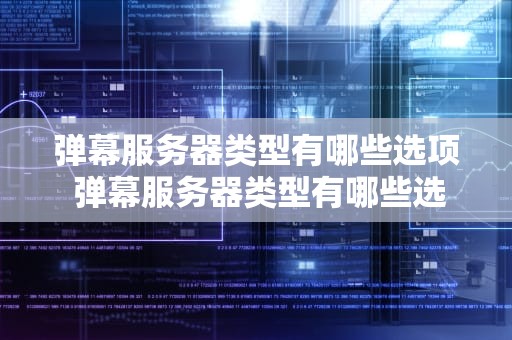 弹幕服务器类型有哪些选项 弹幕服务器类型有哪些选项呢