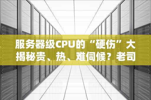 服务器级CPU的“硬伤”大揭秘贵、热、难伺候？老司机带你避坑！