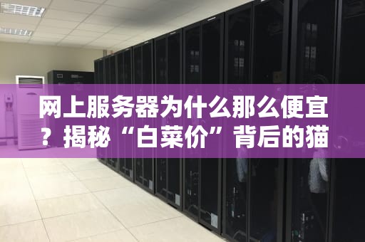 网上服务器为什么那么便宜？揭秘“白菜价”背后的猫腻与真相！