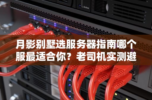 月影别墅选服务器指南哪个服最适合你？老司机实测避坑！
