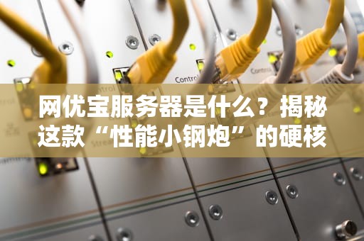 网优宝服务器是什么？揭秘这款“性能小钢炮”的硬核实力！