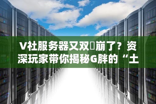 V社服务器又双叒崩了？资深玩家带你揭秘G胖的“土豆”服务器何时能好！