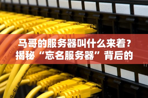 马哥的服务器叫什么来着？揭秘“忘名服务器”背后的硬核科技与搞笑日常