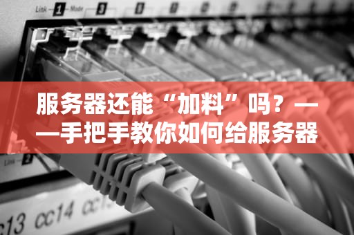 服务器还能“加料”吗？——手把手教你如何给服务器增加功能（附实战案例）