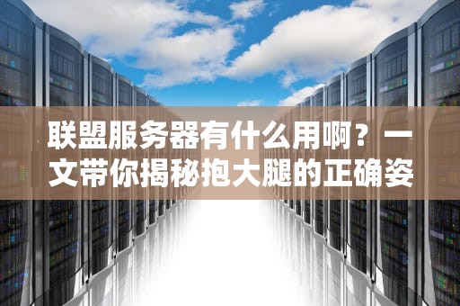 联盟服务器有什么用啊？一文带你揭秘抱大腿的正确姿势！