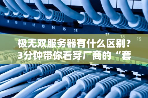 极无双服务器有什么区别？3分钟带你看穿厂商的“套路”