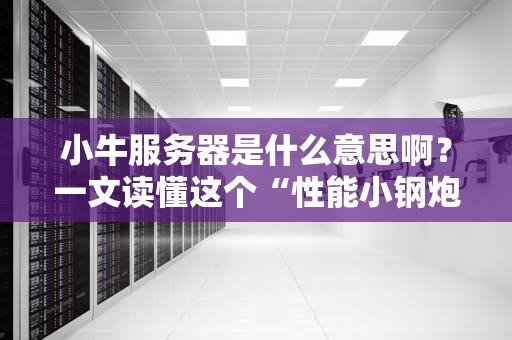 小牛服务器是什么意思啊？一文读懂这个“性能小钢炮”的硬核实力！
