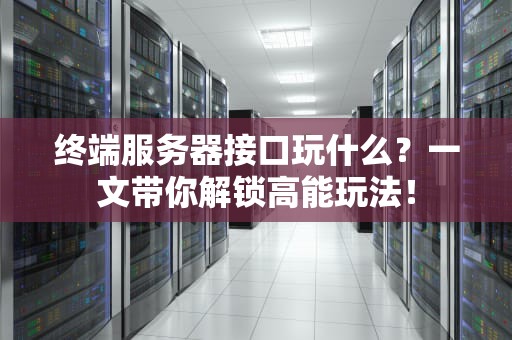 终端服务器接口玩什么？一文带你解锁高能玩法！