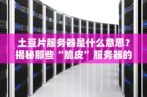 土豆片服务器是什么意思？揭秘那些“脆皮”服务器的搞笑真相！