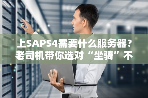 上SAPS4需要什么服务器？老司机带你选对“坐骑”不翻车！