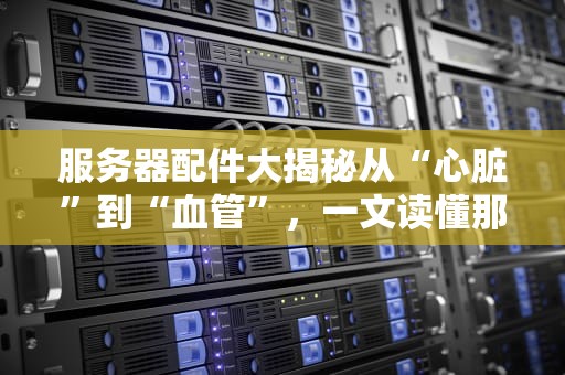服务器配件大揭秘从“心脏”到“血管”，一文读懂那些让服务器跑得飞起的小玩意儿！