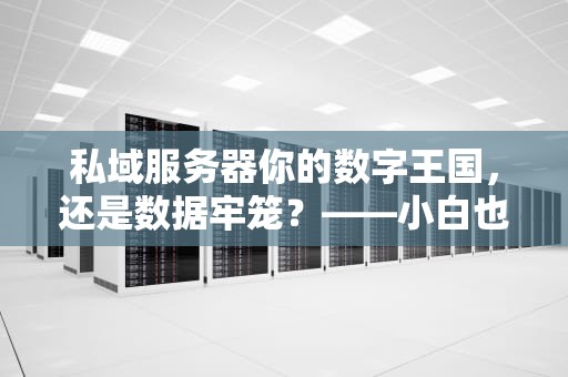 私域服务器你的数字王国，还是数据牢笼？——小白也能看懂的科普指南