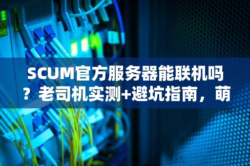 SCUM官方服务器能联机吗？老司机实测+避坑指南，萌新必看！