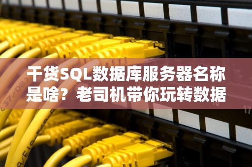 干货SQL数据库服务器名称是啥？老司机带你玩转数据库江湖！