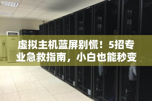 虚拟主机蓝屏别慌！5招专业急救指南，小白也能秒变IT大神