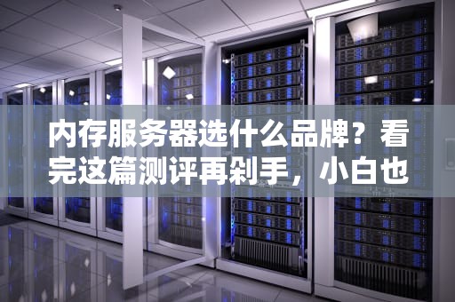 内存服务器选什么品牌？看完这篇测评再剁手，小白也能变大神！