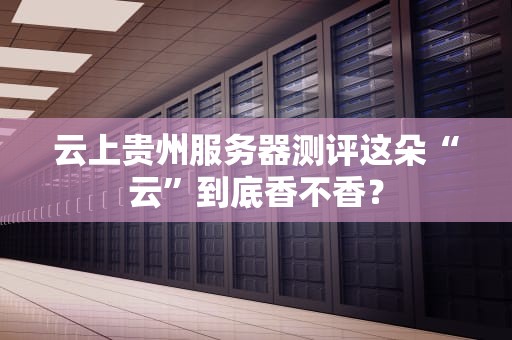 云上贵州服务器测评这朵“云”到底香不香？