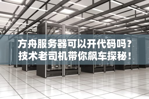 方舟服务器可以开代码吗？技术老司机带你飙车探秘！