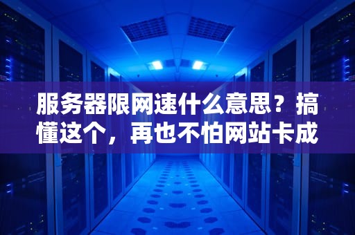 服务器限网速什么意思？搞懂这个，再也不怕网站卡成PPT！