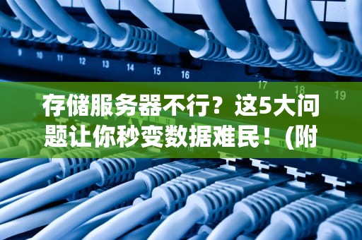 存储服务器不行？这5大问题让你秒变数据难民！(附解决方案)