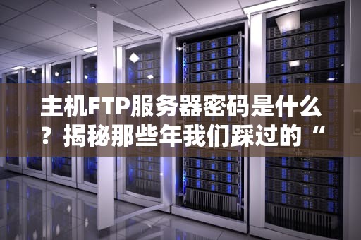 主机FTP服务器密码是什么？揭秘那些年我们踩过的“密码坑”