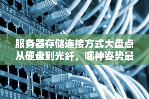 服务器存储连接方式大盘点从硬盘到光纤，哪种姿势最适合你？