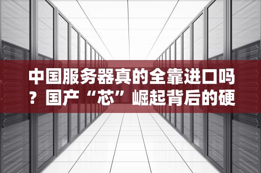 中国服务器真的全靠进口吗？国产“芯”崛起背后的硬核真相！