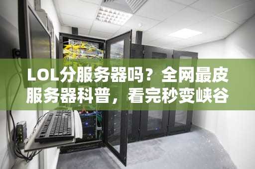 LOL分服务器吗？全网最皮服务器科普，看完秒变峡谷懂王！
