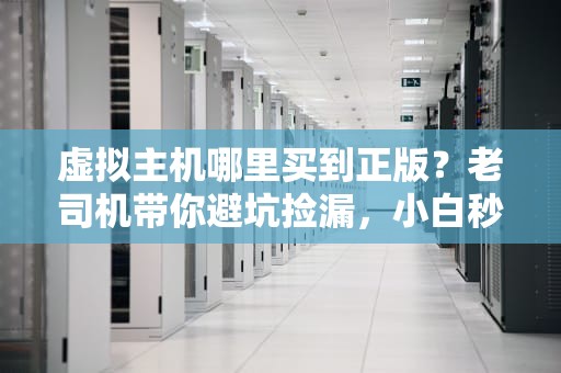 虚拟主机哪里买到正版？老司机带你避坑捡漏，小白秒变老鸟！