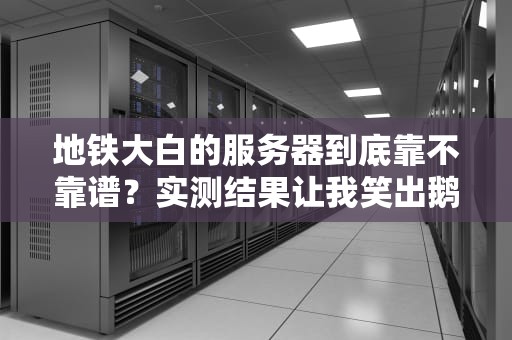 地铁大白的服务器到底靠不靠谱？实测结果让我笑出鹅叫！