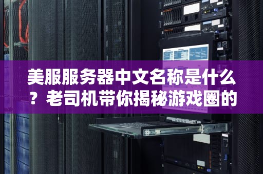 美服服务器中文名称是什么？老司机带你揭秘游戏圈的那些“黑话”