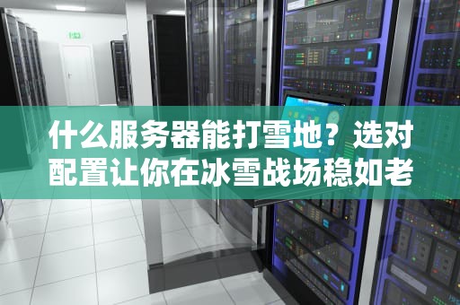 什么服务器能打雪地？选对配置让你在冰雪战场稳如老狗！