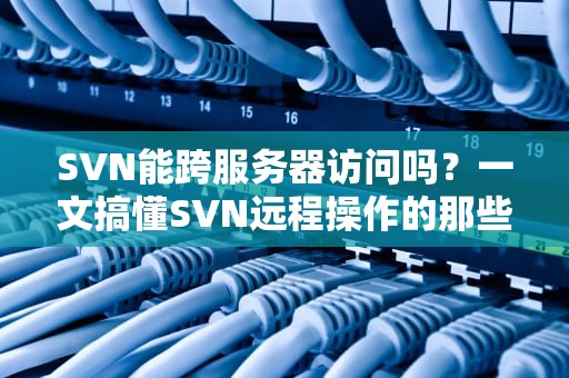 SVN能跨服务器访问吗？一文搞懂SVN远程操作的那些骚操作！