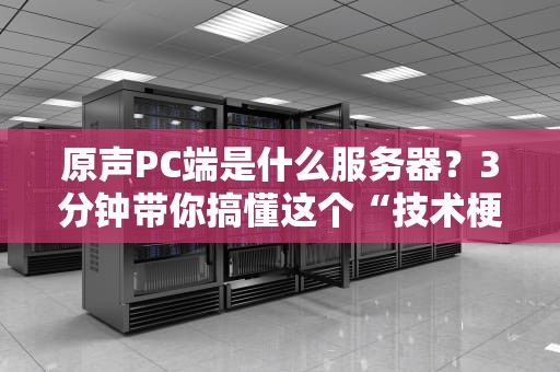 原声PC端是什么服务器？3分钟带你搞懂这个“技术梗”