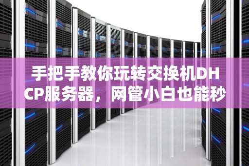 手把手教你玩转交换机DHCP服务器，网管小白也能秒变大神！