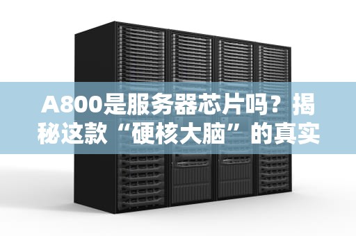A800是服务器芯片吗？揭秘这款“硬核大脑”的真实身份！