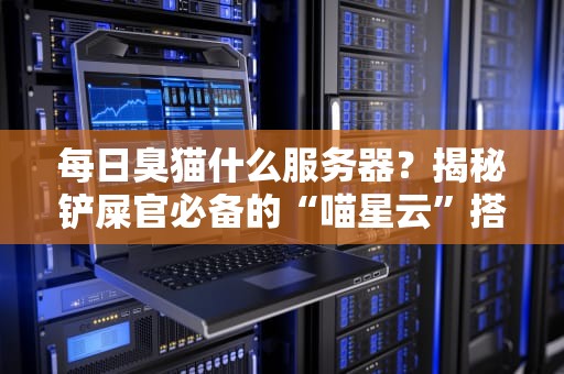 每日臭猫什么服务器？揭秘铲屎官必备的“喵星云”搭建指南！