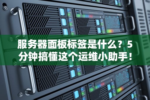 服务器面板标签是什么？5分钟搞懂这个运维小助手！