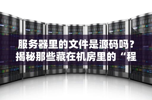 服务器里的文件是源码吗？揭秘那些藏在机房里的“程序员的秘密配方”