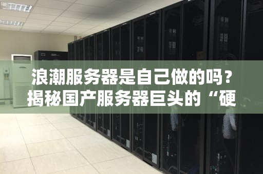 浪潮服务器是自己做的吗？揭秘国产服务器巨头的“硬核”实力！