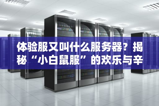 体验服又叫什么服务器？揭秘“小白鼠服”的欢乐与辛酸！
